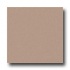 Milliken Harmony 8 Square Stucco Area Rugs