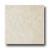 Portobello Galleria 18 X 18 Natural Rectified Galileu Crema Tile