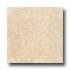 Tarkett Preference Plus Nt - Plainfield 6 Cream Vinyl Flooring