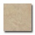 Leonardo Ceramica Rapolano 6 X 6 Tortora Tile & Stone