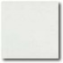 Daltile Vitrestone Select 12 X 12 Whitestone Tile & Stone