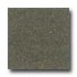 Daltile Granati Polished 12 X 12 Nero Impala Tile & Stone