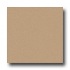 Milliken Harmony 11 X 13 Wheat Area Rugs