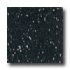 Armstrong Excelon Companion Square Premium Mono Black Vinyl Floo
