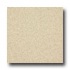 Armstrong Medintech Tandem Inlaid Carthamus Champagne Vinyl Floo