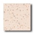 Crossville Cross-colors Lp 12 X 12 Polished White Coral Tile & S