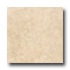 Tarkett Preference Plus Nt - Plainfield 12 Cream Vinyl Flooring