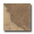 Tesoro Isla Colosseum 20 X 20 Noce Tile & Stone
