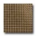 Daltile Maracas Glass Mosaics - Glossy Tortoise Tile & Stone