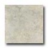 Bella Cera Lariserva 13 X 13 Grey Tile & Stone