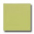 Interceramic Colours 8 X 8 Green Kiwi Tile & Stone