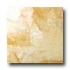 Tesoro Elegance 20 X 20 Dorato Tile & Stone