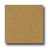 Santa Regina Designer 16 X 16 (antique) Antique Gold Terrazzo Ti