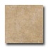Emser Tile Paradiso 12 X 12 Tan Tile & Stone