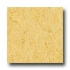 Armstrong Marmorette With Naturcote Yellow Straw Vinyl Flooring