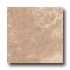 Tesoro Tivoli 8 X 12 Noce Tile & Stone
