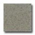 Daltile Granati Unpolished 12 X 12 Grigio Windsor Tile & Stone