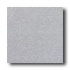 American Olean Terra Granite 12 X 12 Speckled Seagull Tile & Sto