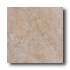 Cerdomus Tuscany 20 X 20 Gold Tile  and  Stone