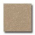 Santa Regina Architectural 24 X 24 (natural) Desert Tan Terrazzo