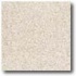 Daltile Vitrestone Select 8 X 8 Brownstone Tile & Stone