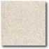 Daltile Vitrestone Select 8 X 8 Brownstone Tile  and
