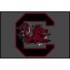 Logo Rugs South Carolina University South Carolina Entry Mat 18&
