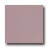 Marazzi Le Cromie Polished 12 X 12 Lepidolite Tile & Stone