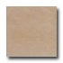 Bella Cera Georgia 18 X 18 Beige Tile & Stone
