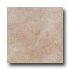 Energie Ker Como 20 X 20 Noce Tile  and  Stone