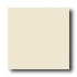 American Olean Matte 6 X 6 Almond Tile & Stone