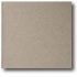 Daltile Quarry Textures Abrasive 6 X 6 Ashen Gray Tile & Stone
