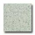 Santa Regina Designer 24 X 24 (natural) Sage Terrazzo Tile