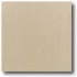 Daltile Quarry Textures 6 X 6 Desert Tan Tile & Stone
