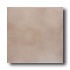 American Olean Integra 12 X 12 Chestnut Haze Tile & Stone