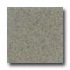 Daltile Granati Polished 12 X 12 Grigio Windsor Tile & Stone