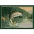Milliken Hautman Collection 3 X 4 Rainbow Trout Ar