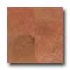 Daltile Travertine Natural Stone Honed 18 X 18 Bandar Red Tile &