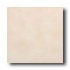American Olean Subtle Steps Ii 12 X 12 Tawny Beige Tile & Stone