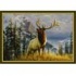 Milliken Hautman Collection 4 X 5 Mountain Elk Are