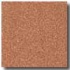 Armstrong Safeguard Hydro Slip-retardant Sienna Vinyl Flooring