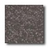 Crossville Cross-colors Lp 12 X 12 Polished Black Pearl Tile & S