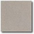 Daltile Vitrestone Select 8 X 8 Graystone Tile & Stone