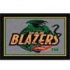 Milliken Univ Of Alabama Birmingham 5 X 8 U Alabama Birm Area Ru
