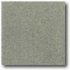 Daltile Vitrestone Select 8 X 8 Green Granite Tile & Stone