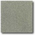 Daltile Vitrestone Select 8 X 8 Green Granite Tile
