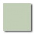 American Olean Bright 4 X 4 Bright Light Aspen Tile & Stone