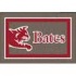 Milliken Bates College 4 X 5 Bates College Area Rugs