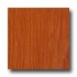 Tarkett Occasions Plus Medium Red Oak Laminate Flooring
