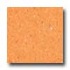 Mannington Brushwork Cadmium Orange Vinyl Flooring